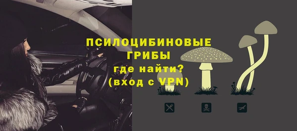 бошки Богородск